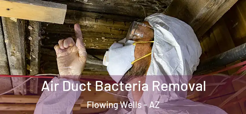 Air Duct Bacteria Removal Flowing Wells - AZ