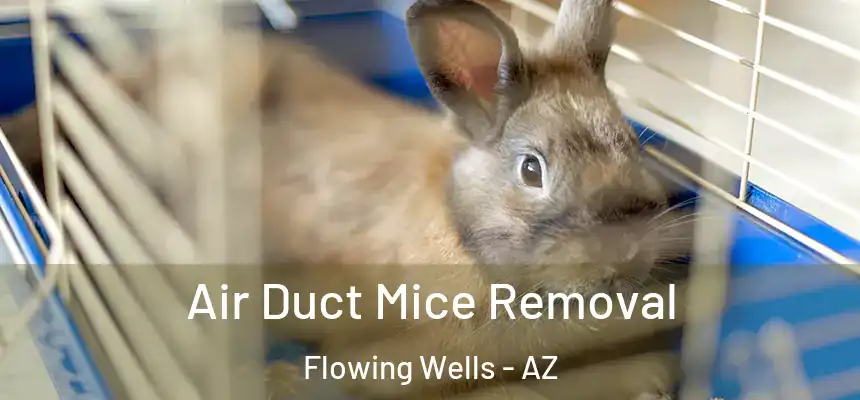 Air Duct Mice Removal Flowing Wells - AZ