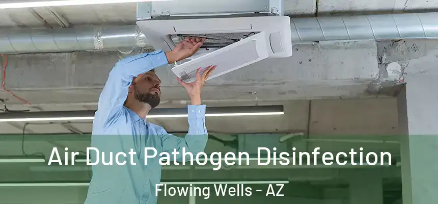  Air Duct Pathogen Disinfection Flowing Wells - AZ