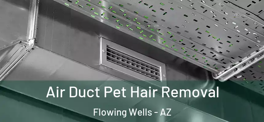  Air Duct Pet Hair Removal Flowing Wells - AZ