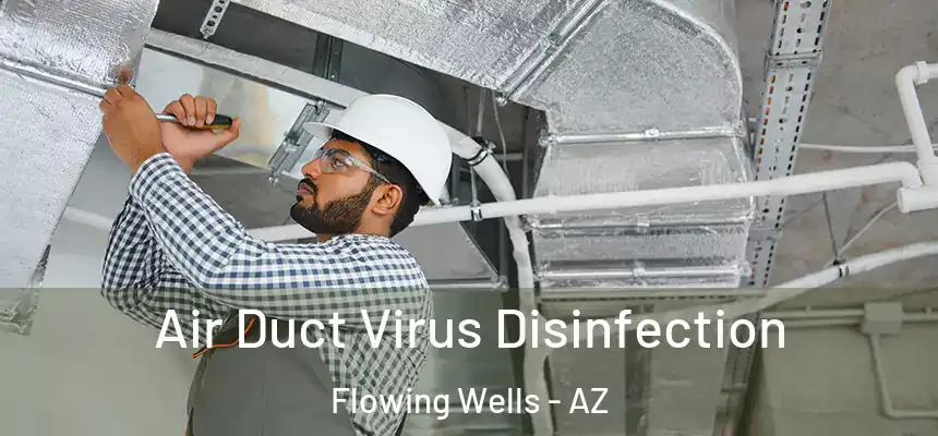 Air Duct Virus Disinfection Flowing Wells - AZ