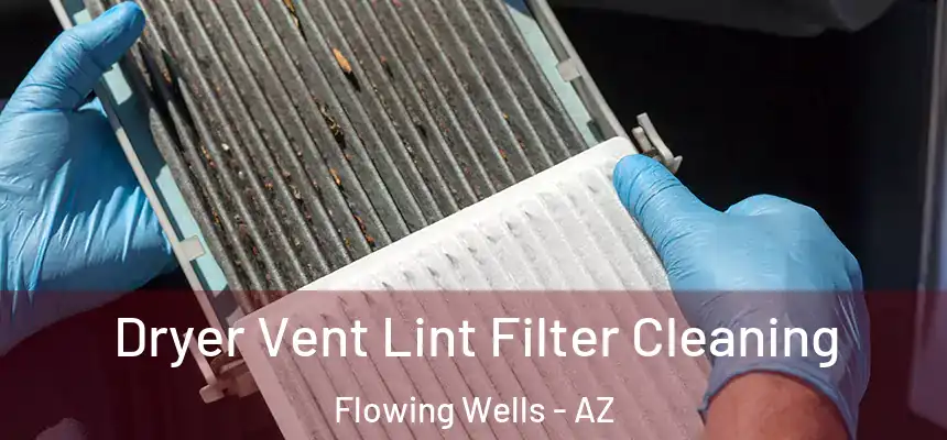Dryer Vent Lint Filter Cleaning Flowing Wells - AZ