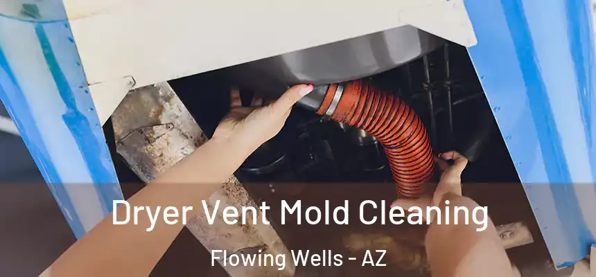 Dryer Vent Mold Cleaning Flowing Wells - AZ
