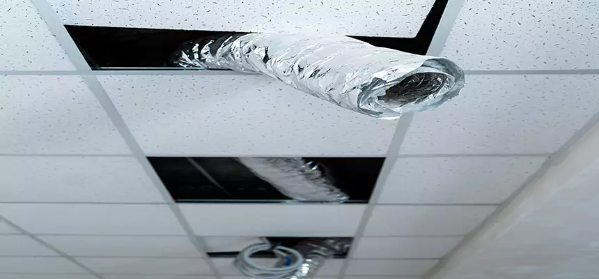 Our Air Duct Pet Hair Removal Services in Flowing Wells, AZ