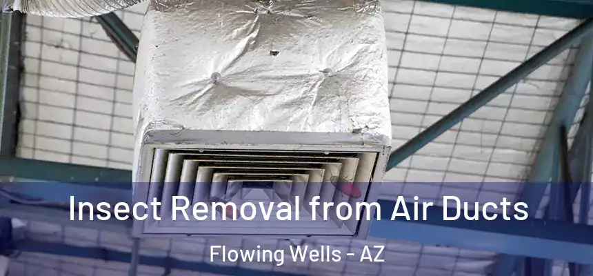 Insect Removal from Air Ducts Flowing Wells - AZ