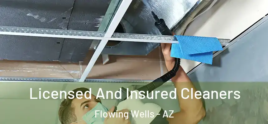Licensed And Insured Cleaners Flowing Wells - AZ