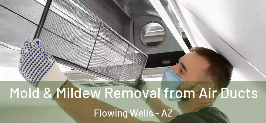  Mold & Mildew Removal from Air Ducts Flowing Wells - AZ
