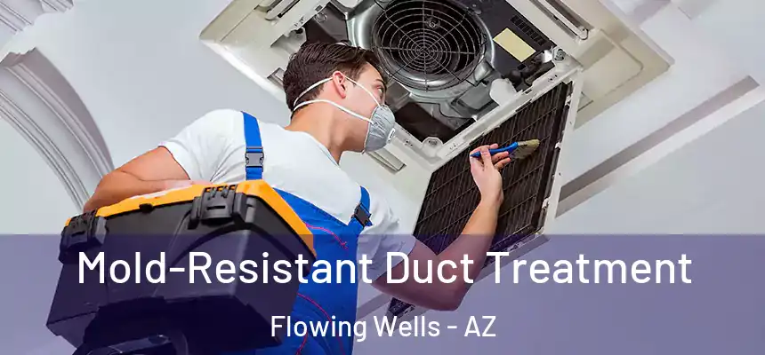 Mold-Resistant Duct Treatment Flowing Wells - AZ