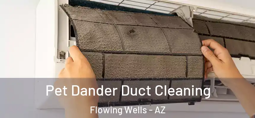 Pet Dander Duct Cleaning Flowing Wells - AZ