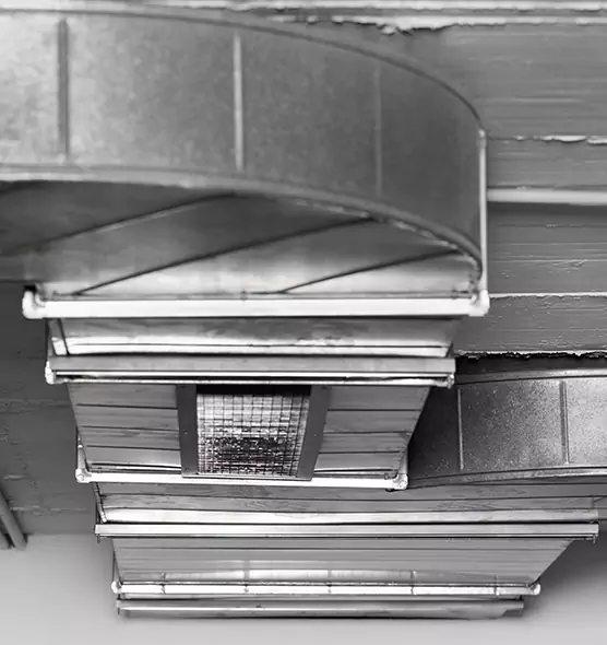 Professional Air Duct Pet Hair Removal in Flowing Wells, AZ