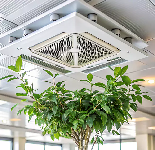 Why Homeowners & Businesses Trust Us in Flowing Wells, AZ?